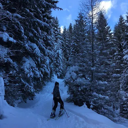 Fw Aussicht Fam Sigl *